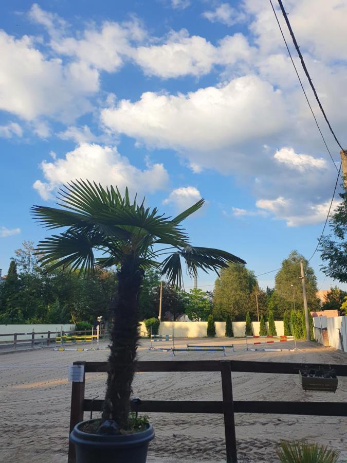 Farm Stay Nh Stables Nyrany Екстериор снимка