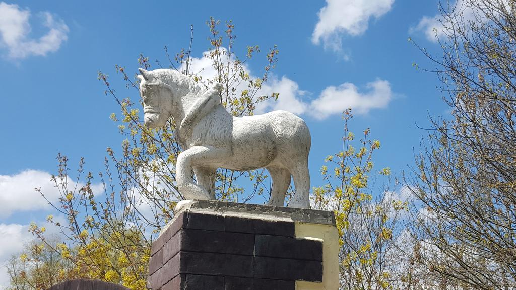 Farm Stay Nh Stables Nyrany Екстериор снимка