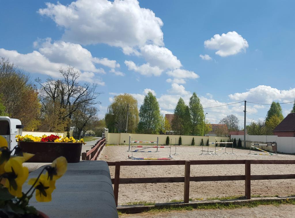 Farm Stay Nh Stables Nyrany Екстериор снимка