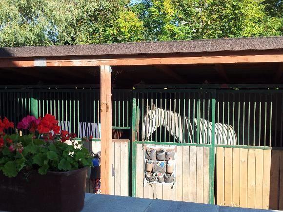Farm Stay Nh Stables Nyrany Екстериор снимка
