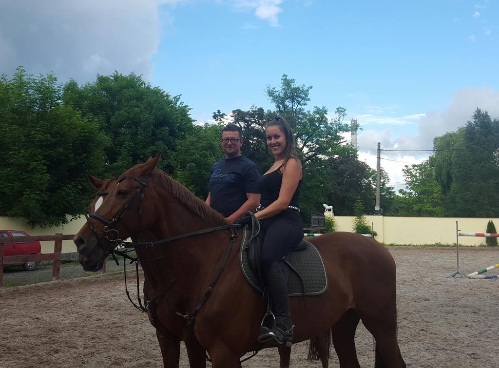 Farm Stay Nh Stables Nyrany Екстериор снимка