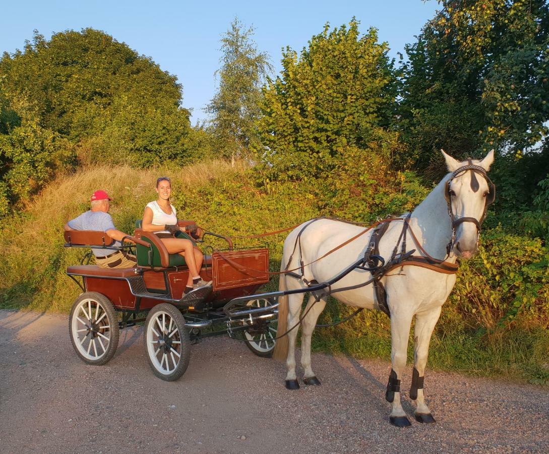 Farm Stay Nh Stables Nyrany Екстериор снимка